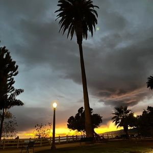 Meet your Posher, Afshaan